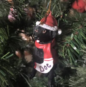 doc the dog